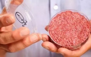 春发生物科技 人造肉走上餐桌还有多远
