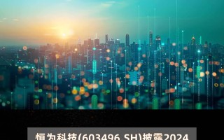 恒之科技 恒为科技（603496）2024年年报简析：增收不增利，公司应收账款体量较大
