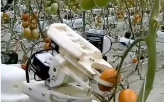 生产黑科技 盘点农业生产中的黑科技，用AI视角看见“云”上农田！