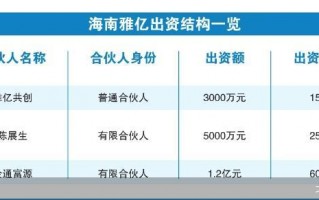 一企通科技 ST 赛隆“生死时速”：立白集团二代入局搅动，披星戴帽后股价狂飙