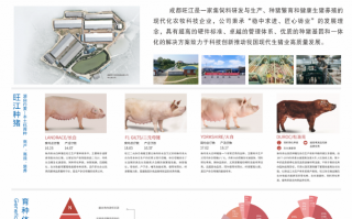 成都金猪科技 邛崃：深耕“猪芯片” 助力打好生猪种业“翻身仗”