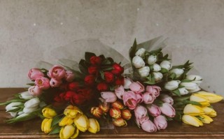 承允科技 专家：鲜花电商存八大“痛点”消费者如何提防