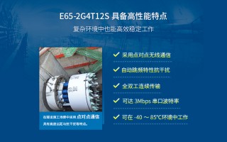 传嘉网络科技 嘉传E65升级，性价比无敌靠谱高端粮，科研能力加成，全村的希望